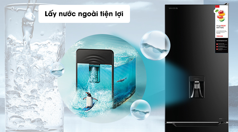 vietnine-1778131260712-508072170.jpg
