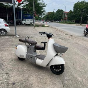 Scooter Scuff Roller