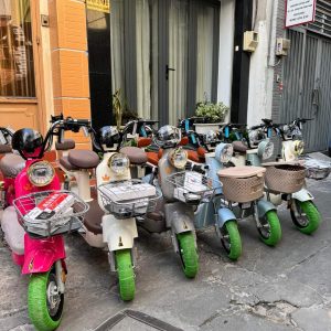 Anti theft Electric ScoOter