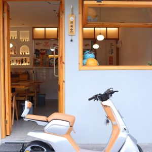 Squid Electric ScoOter