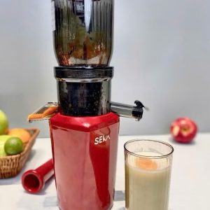 Large Neck Slow Juicer 250W