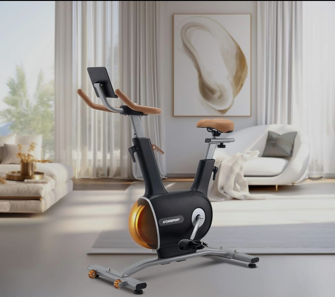 Exercise Bike (FLYWHEEL)