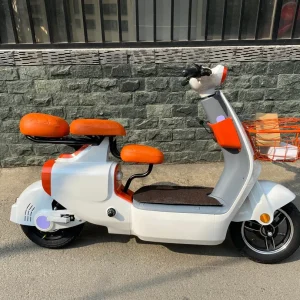 Electric motorbike