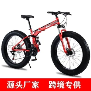 Bicycle standard Cruz