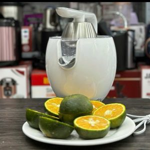 Industrial orange juicer