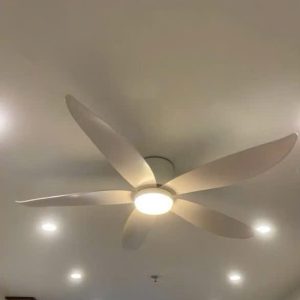 Ceiling Fan For Apartments