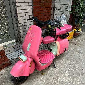 E scooter electric bike